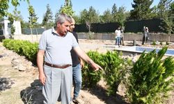 Patnos’ta çevre düzenleme çalışmaları aralıksız devam ediyor
