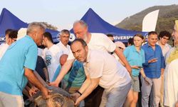 Tedavi edilen caretta carettaların mavi yolculuğu ilk kez yerli uydu ile izlenecek