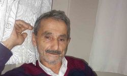 Üzerine Ağaç Devrilen Adam Hayatını Kaybetti