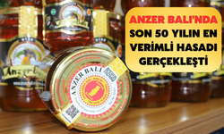 Anzer Balı'nda son 50 yılın en verimli hasadı gerçekleşti