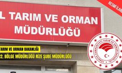RİZE ORMAN İŞLETME MÜDÜRLÜĞÜ İHALE İLANI