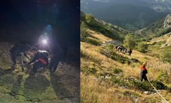 Yamaçtan Düşerek Mahsur Kalan İnek Afad Ekiplerince Kurtarıldı