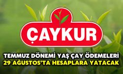 Temmuz Dönemi Yaş Çay Ödemeleri 29 Ağustos’ta Hesaplara Yatacak