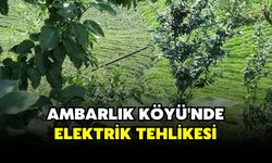 Ambarlık Köyü'nde Elektrik Tehlikesi