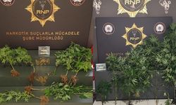 Rize'deki uyuşturucu operasyonlarında 47 şüpheli gözaltına alındı