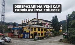 Derepazarı'na yeni çay fabrikası inşa edilecek