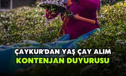 ÇAYKUR'dan Yaş Çay Alım Kontenjan Duyurusu