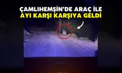 Çamlıhemşin’de Araç ile Ayı Karşı Karşıya Geldi