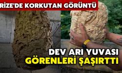 Rize'de Korkutan Görüntü: Dev Arı Yuvası Görenleri Şaşırttı