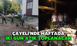 Çayeli'nde Haftada İki Gün Atık Toplanacak