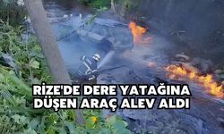 Rize'de dere yatağı düşen araç alev aldı