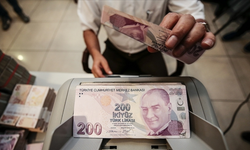 Unutulan Paraya Bakın! Hepsi TMSF'ye Aktarıldı