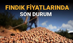 Fındık Fiyatlarında Son Durum