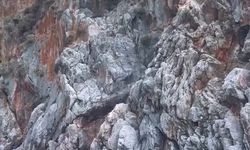 Alanya’da denize ölümüne atlayış