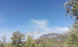 Alanya’da ormanlık alan yangınları kontrol altına alınmaya çalışılıyor