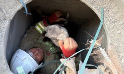 Antakya’da 5 metrelik kuyuya düşen yavru köpek kurtarıldı
