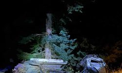 Artvin’de kamyon uçuruma yuvarlandı, karı koca hayatını kaybetti
