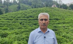 ÇAYÜDAD Başkanı Mustafa Mavi: "Bazı özel fabrikaların 3. sürgünde çay almayacağı söyleniyor"