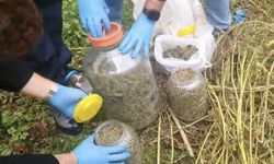Fındık Bahçesindeki Bidonlardan Uyuşturucu Çıktı