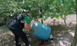 Kocaeli’de dört mevsim sivrisineğe geçit yok