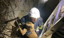 Kuyuya düşen köpeği itfaiye kurtardı