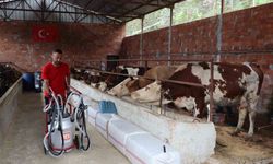 Ordu’da sütün değeri artıyor