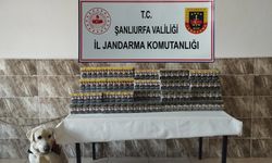Şanlıurfa’da 420 paket gümrük kaçağı sigara ele geçirildi