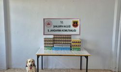 Şanlıurfa’da 7 bin 777 paket gümrük kaçağı sigara ele geçirildi