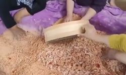 Sinop’ta kadınlar imece usulü tarhana yapımına başladı