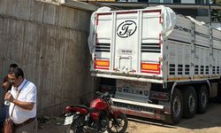 Üzüm yüklemeye geldi, yaşamını yitirdi