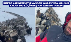 Rize'de Kar Nedeniyle Avusor Yaylası'nda Mahsur Kalan 500 Küçükbaş Hayvan Kurtarıldı