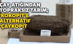 Çay Atığından Topraksız Tarım; ‘Kokopit’e Alternatif ‘Çaykopit
