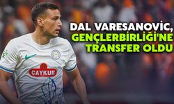 Dal Varesanovic, Gençlerbirliği'ne Transfer Oldu