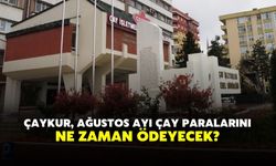 ÇAYKUR, Ağustos ayı yaş çay bedellerini ne zaman ödenecek?