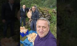 Rize’de ormanda gezintiye çıkan 3 arkadaş ağacın üzerinde kilolarca mantar buldu