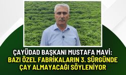 ÇAYÜDAD Başkanı Mustafa Mavi: "Bazı özel fabrikaların 3. sürgünde çay almayacağı söyleniyor"