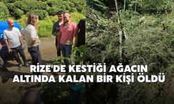 Rize'de kestiği ağacın altında kalan bir kişi öldü