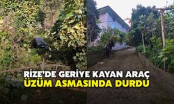 Rize'de El Freni Çekilmeyen Araç Bahçeye Düştü