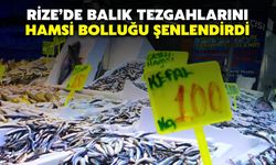 Rize’de Balık Tezgahlarını Hamsi Bolluğu Şenlendirdi