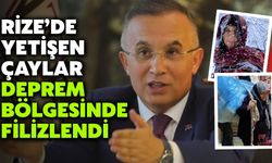 Rize’de Yetişen Çaylar Deprem Bölgesinde Filizlendi