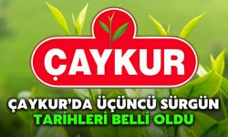 ÇAYKUR’da Üçüncü Sürgün Tarihleri Belli Oldu