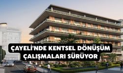 Çayeli'nde kentsel dönüşüm çalışmaları sürüyor