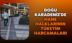 Doğu Karadeniz'de Hane Halklarının Tüketim Harcamaları