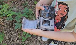 5 Yaşındaki Bensu, Fotokapanla Yaban Hayatını Görüntülüyor