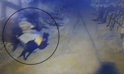 Atla Geldi, Yaşlı Çifti Öldürüp Kaçtı