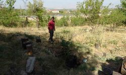 Malatya’da Kayısı Bahçesinde Obruk Oluştu