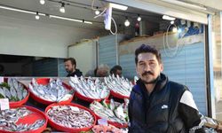 Mevsiminin En Lezzetli Balıkları Hamsi Ve Sardalya