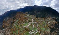 Zigana’nın Tünelini Değil, Manzarasını Seçtiler