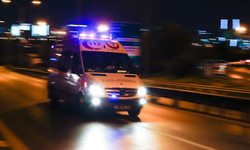 Ordu’da Minibüs Şarampole Devrildi: 11 Yaralı