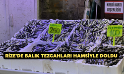 Rize’de Balık Tezgahları Hamsiyle Doldu
